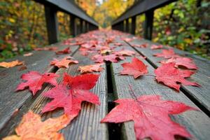 Autumnal path through a wooden bridge photo