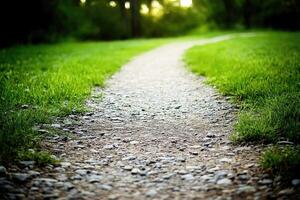 A gravel path winds through a lush green meadow photo