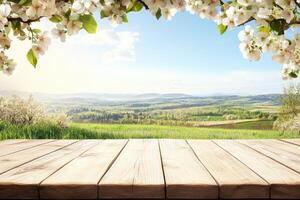 Springtime countryside table top photo
