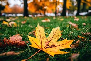 Autumnal leaf with inscription photo