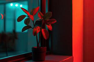 A potted plant bathed in vibrant neon light photo