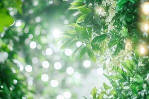 Lush greenery with soft sunlight photo