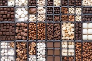 Assortment of gourmet chocolate and confectionery pieces in organized containers photo
