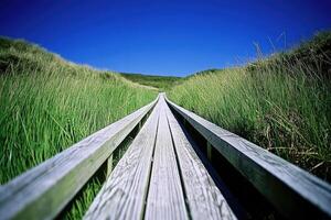 Wooden walkway through grassy hills under a clear sky photo