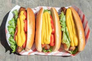 Three gourmet hot dogs on paper plates photo