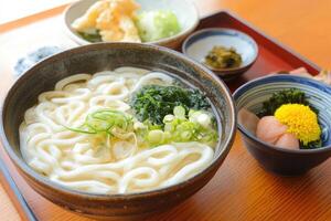 Japanese Udon Noodles with Sides photo