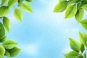 Fresh spring leaves framing a bright sky photo