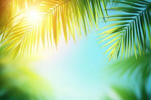 Tropical Palm Leaves Against a Sky photo