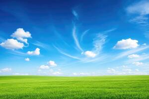 Green field with blue sky and clouds photo