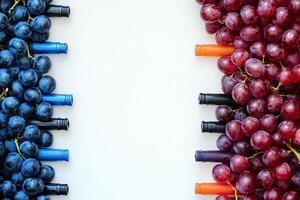 Wine and Grapes Border photo
