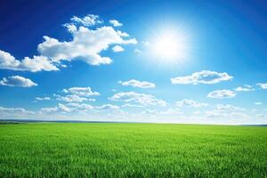 Vast, vibrant green field under a brilliant blue sky photo