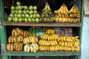 Fresh tropical produce on market shelves photo