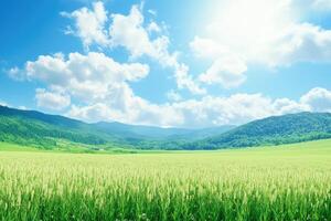 A field of green grass and mountains in the background photo
