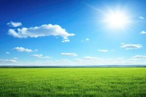 A green field with the sun shining over it photo