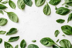 Fresh spinach leaves arranged in a circle on a white textured background photo