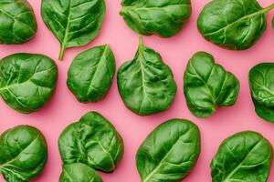 Fresh spinach leaves arranged on a pink background photo