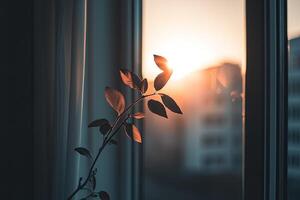 Golden Sunset through Window photo
