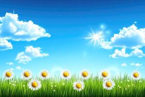 Sunny meadow with daisies photo