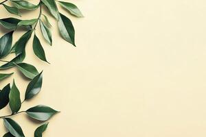 Fresh green leaves on pastel yellow background photo