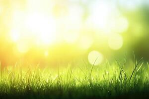 Green grass with sunlight and bokeh effect photo