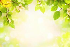 Spring blossoms and leaves frame photo