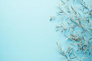 Light blue background with olive branches photo