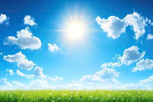 Sunny Day Meadow photo