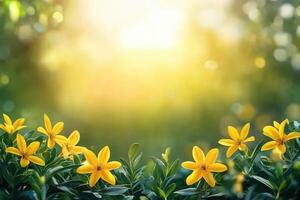 Sunny spring flowers in a garden photo