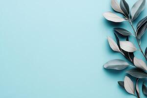 Delicate, light teal backdrop with minimalist foliage arrangement photo