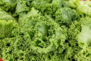 A close up of a bunch of green lettuce photo