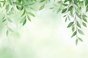 Fresh, vibrant greenery. Soft, light green leaves frame a blurred background photo