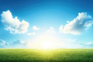 Sunrise over a grassy field photo