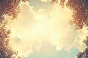 Cloudy sky framed by treetops photo