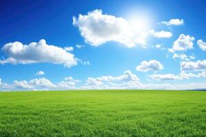 Vast, vibrant green field under a brilliant blue sky filled with puffy white clouds photo