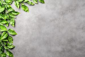 Fresh green leaves frame a gray surface photo