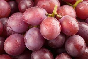 Close-up of plump, juicy red grapes. Clusters of fresh, wet grapes photo