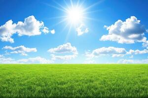 Sunny, expansive field under a vibrant blue sky photo