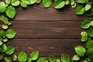 Fresh green leaves frame a dark wood plank surface photo
