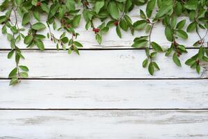 Fresh greenery cascading over distressed white wood photo