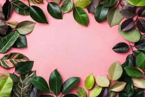 Botanical Frame of Vibrant Leaves on Pink photo
