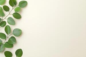 Fresh greenery sprigs on pale background photo