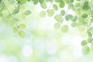 Fresh green leaves frame soft bokeh photo