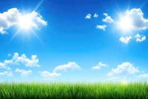 Sunny summer sky over a vibrant field photo