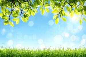 Fresh spring day, vibrant greenery photo