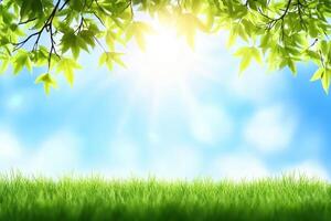 Fresh green grass under bright sunlight filtering through leaves photo