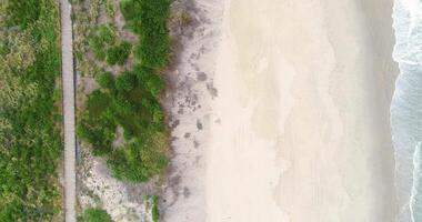 overhead static footage of the shore of a beach and a wooden pedestrian walkway in a dune video