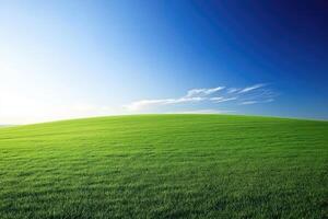 Lush green field under a vibrant sky photo