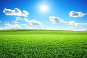 Vast, verdant field under a vibrant sky photo