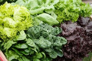 Fresh greens assortment photo