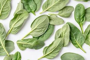 Fresh spinach leaves arranged on white background photo